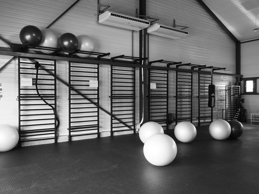 Espaliers et ballons de fitness