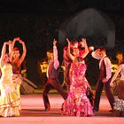 ESPECTACULO FLAMENCO