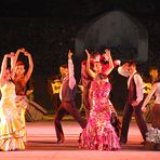 ESPECTACULO FLAMENCO