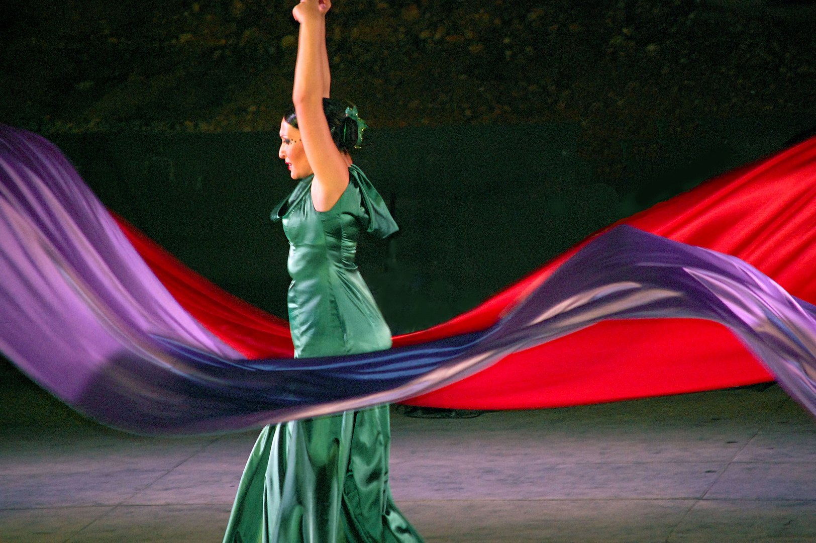 ESPECTACULO FLAMENCO IV