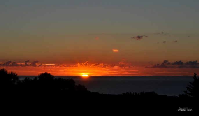 Espectáculo Matinal