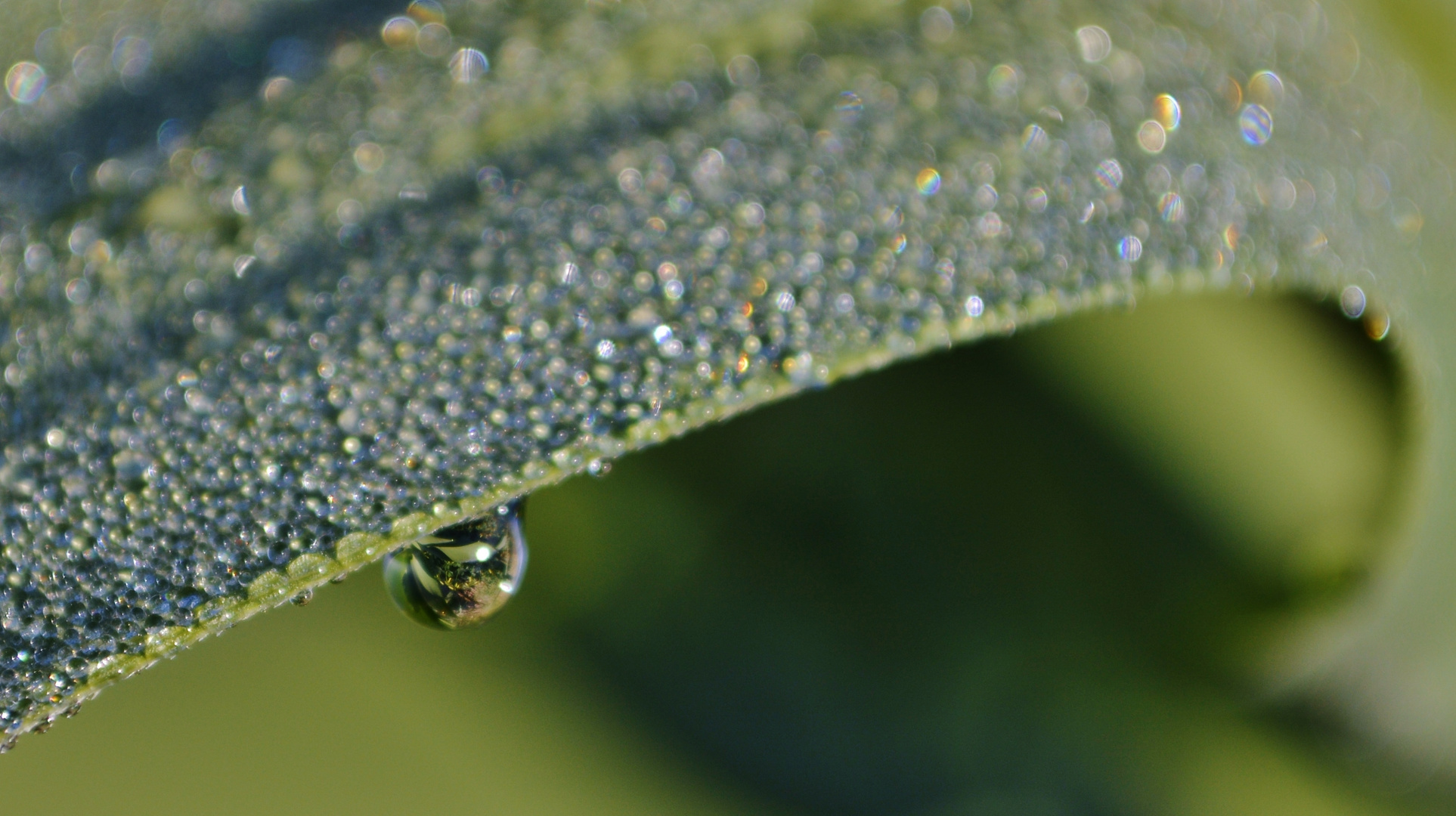 Espejo de Agua