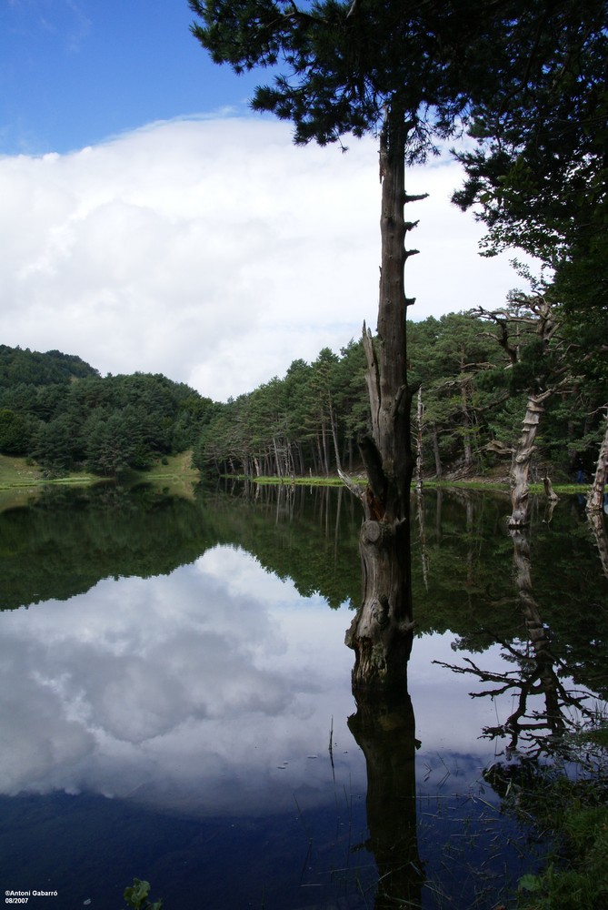 Espejo en el lago