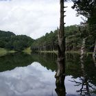 Espejo en el lago