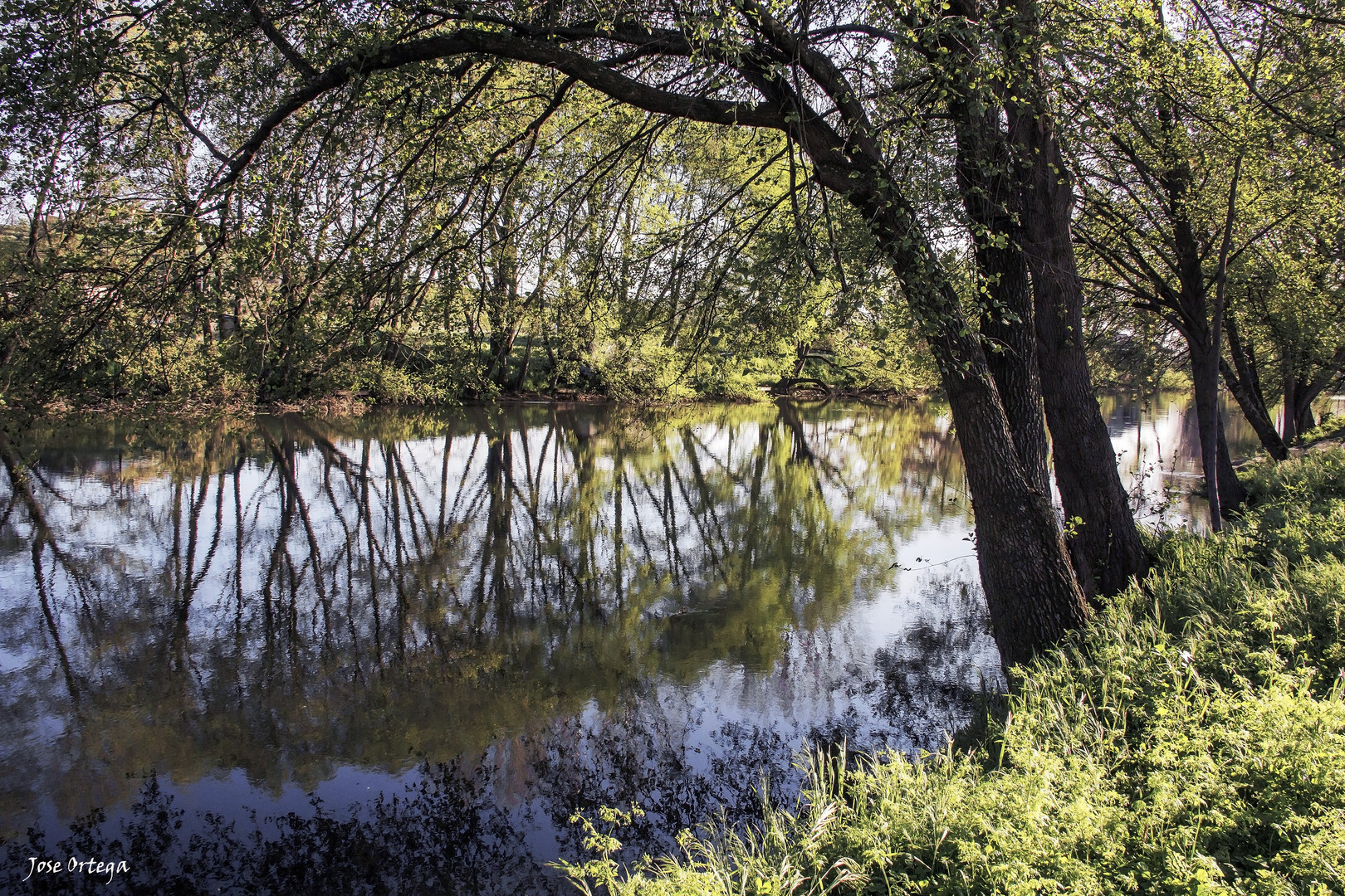 Espejo en el Rio Jerte