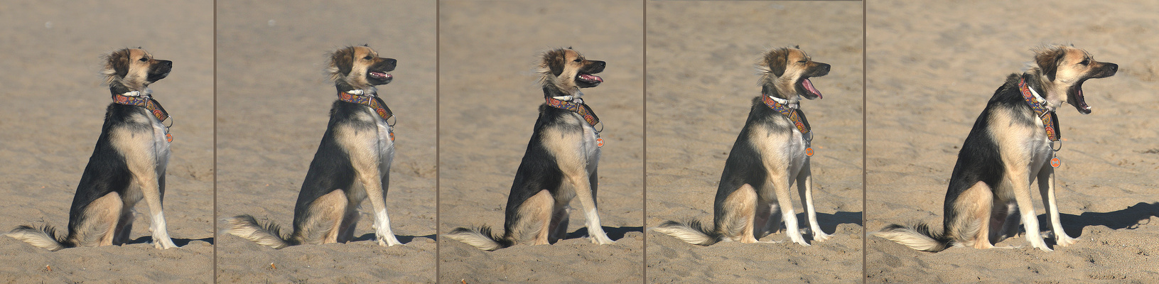 ESPERANDO A LA AMIGA