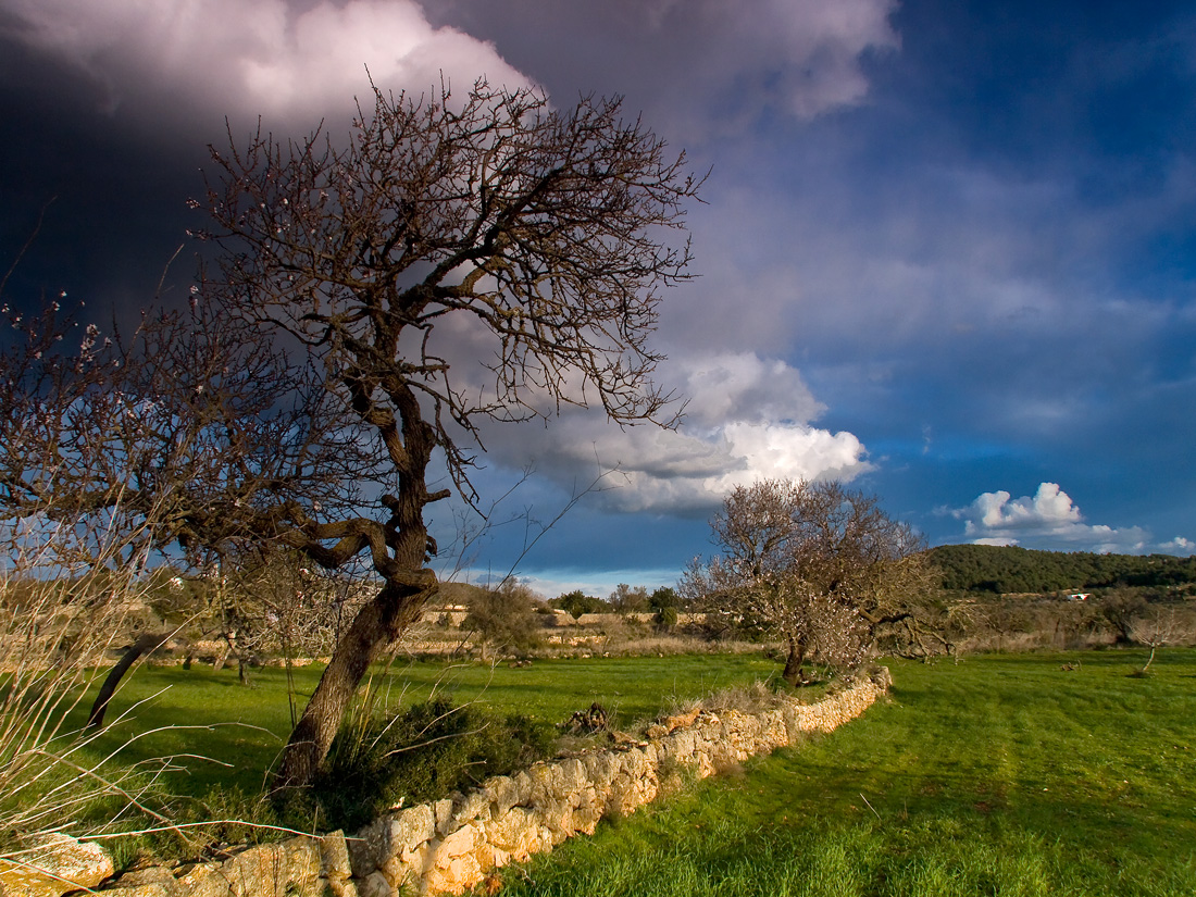 Esperando a la tormenta