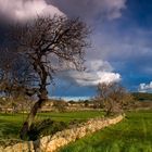 Esperando a la tormenta