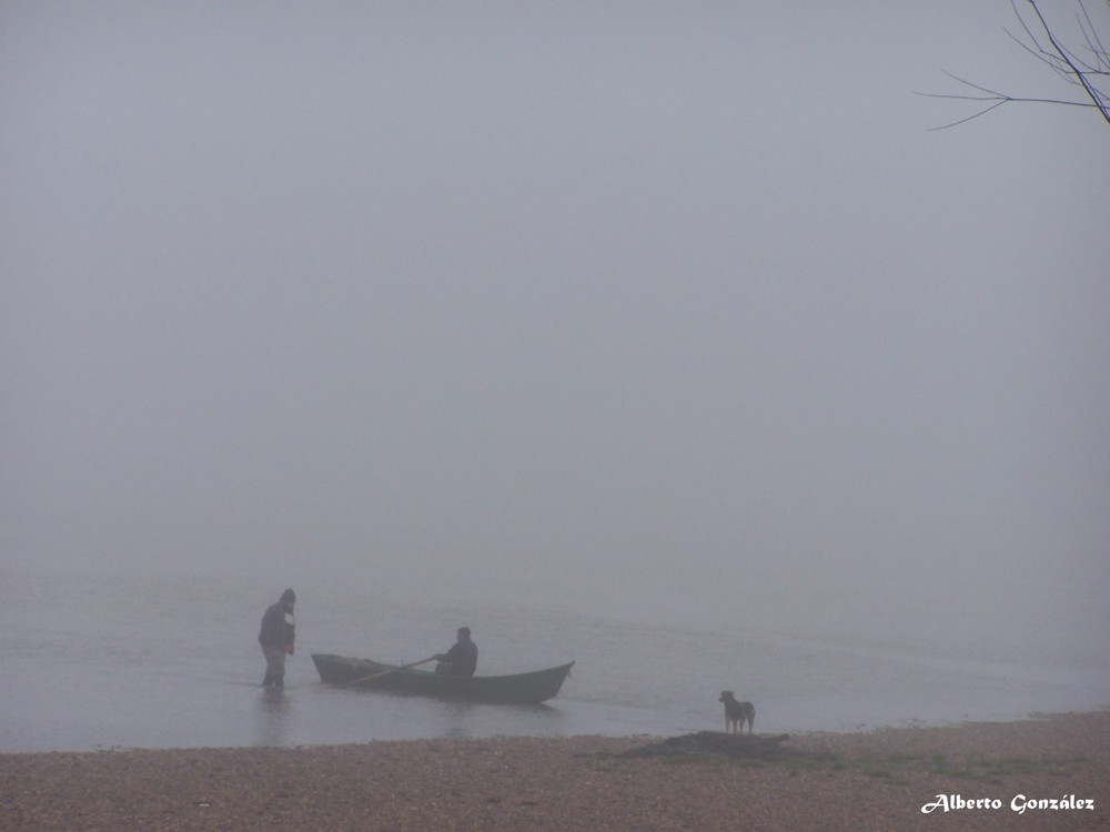 Esperando al amo en la niebla