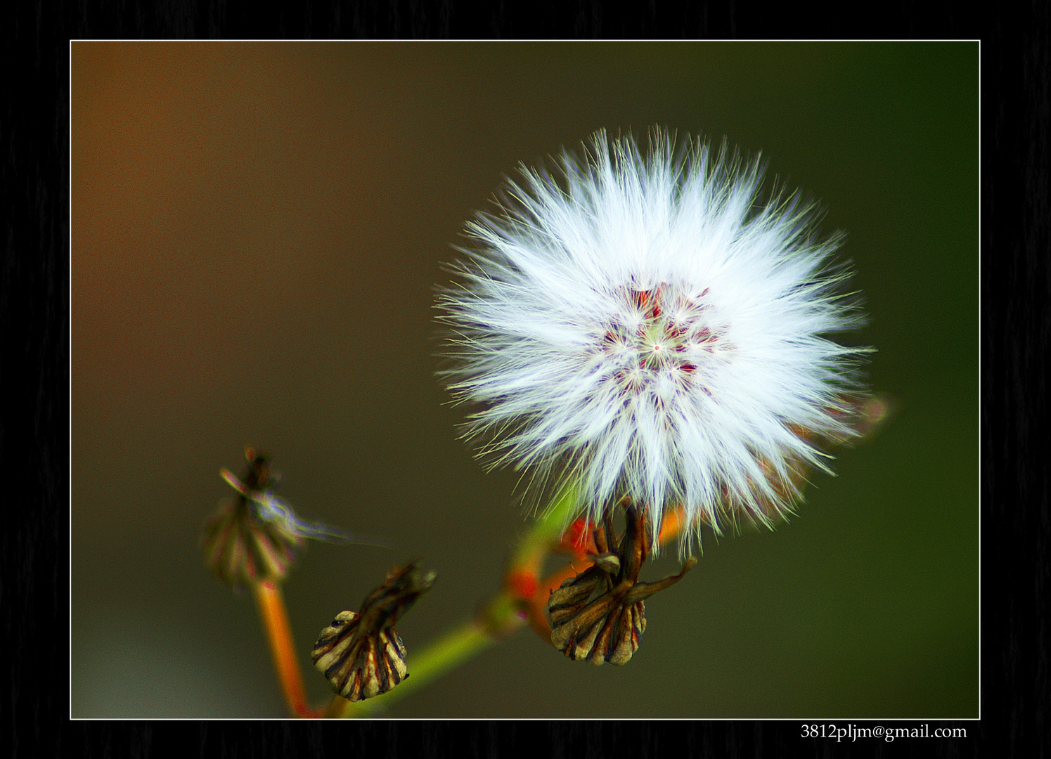 Esperando......( al viento)