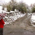 Esperando bajo la nieve