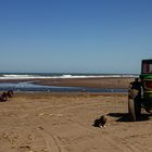 Esperando la barca de pesca