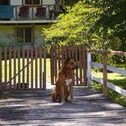 ESPERANDO LA LANCHA QUE VENDE HELADOS