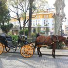 Esperando pasajero