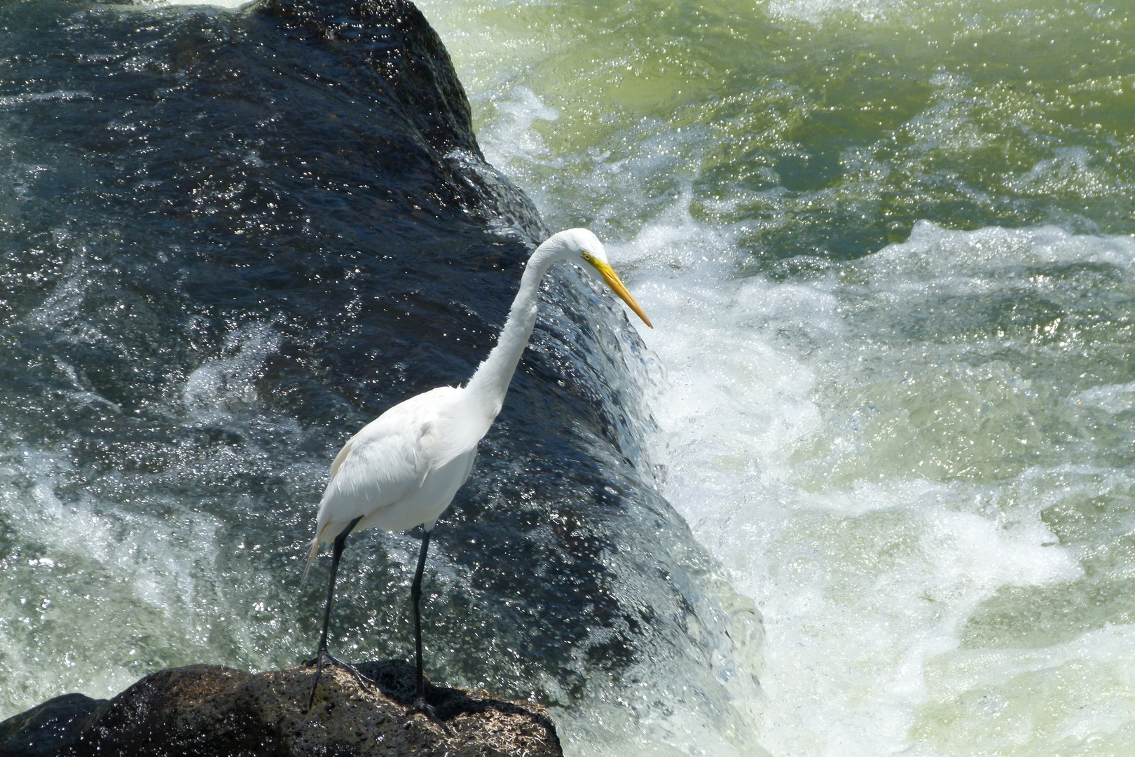 Esperando una buena pesca