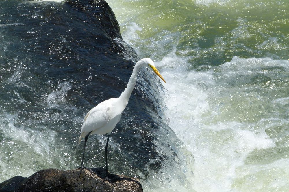 Esperando una buena pesca de Sergio Samaniego 