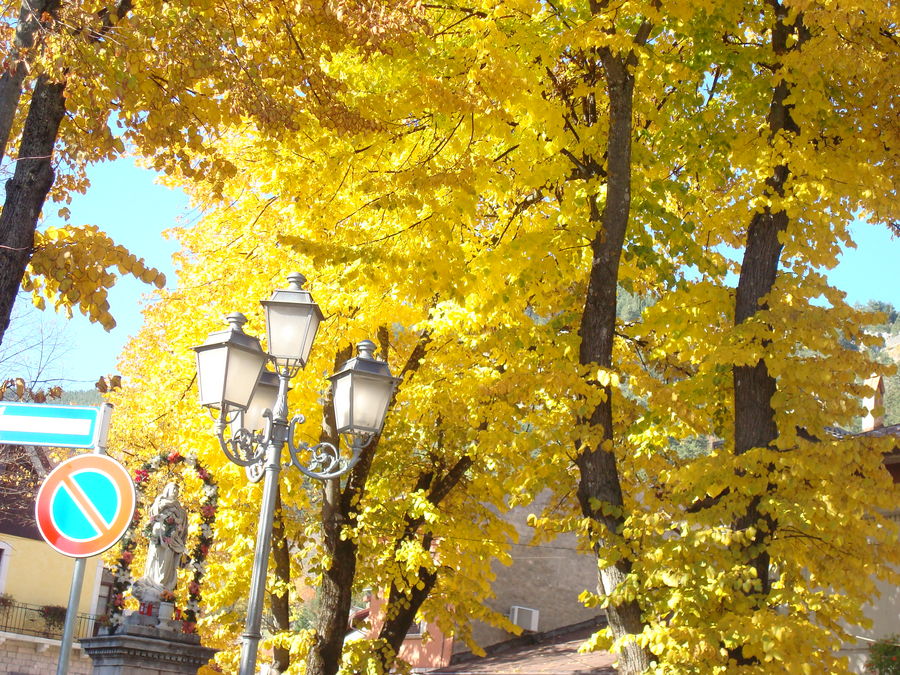 Esplosione d'autunno