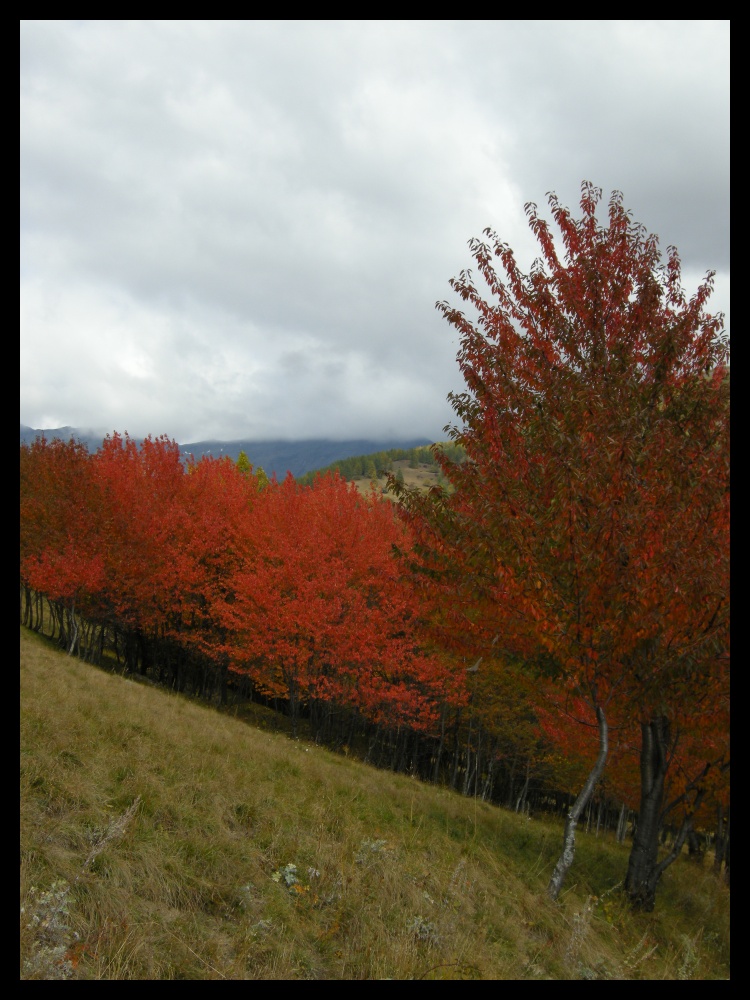 esplosione d'autunno