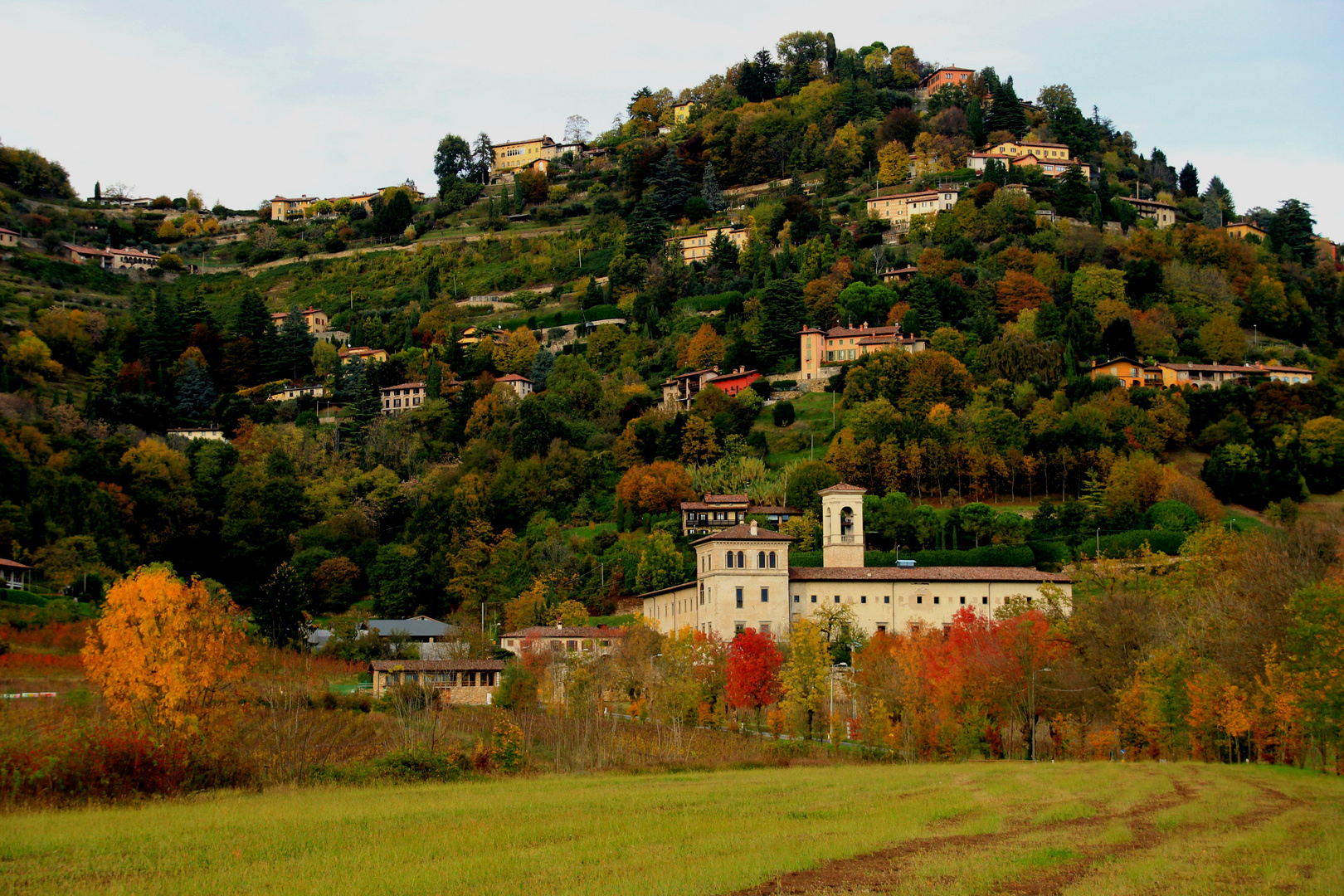 esplosione di colori