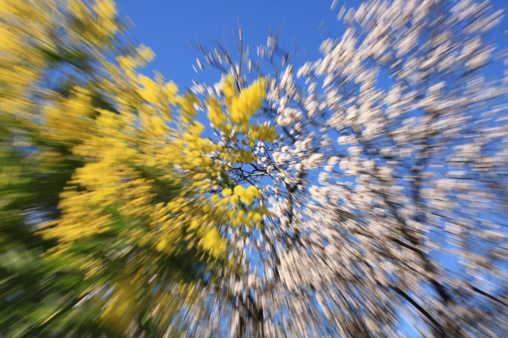 ESPLOSIONE DI PRIMAVERA