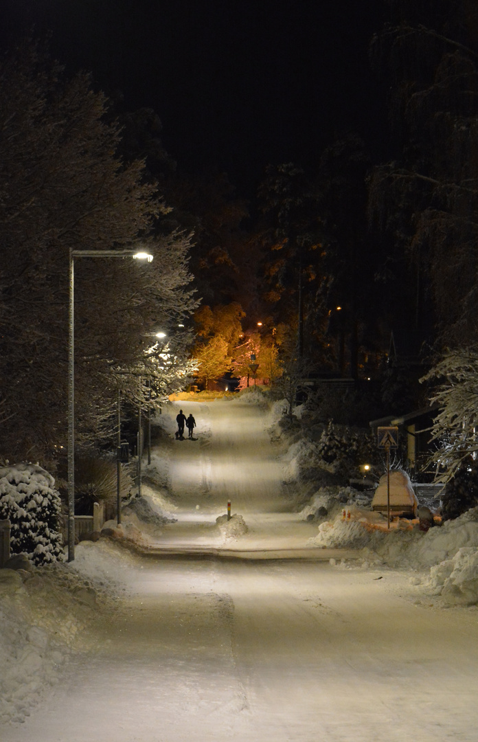 Espoo, Night walking with the dog