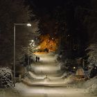 Espoo, Night walking with the dog