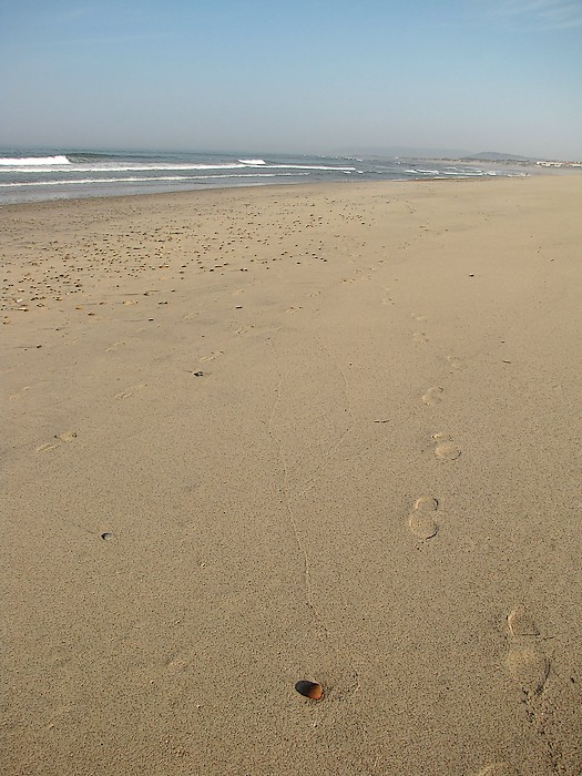 Esposende beach - North of Portugal