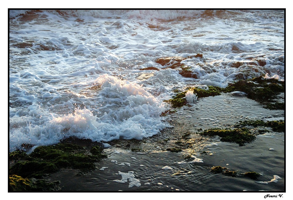 Espuma de mar