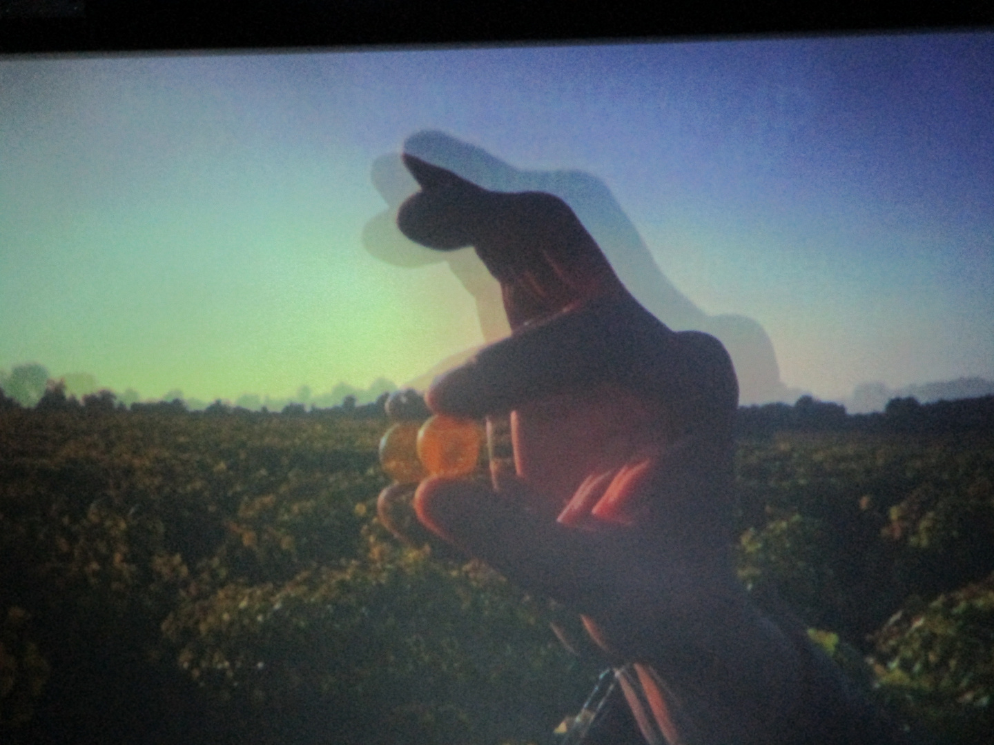 Essai de photo d'un film en 3 D, Grain de Sancerre..