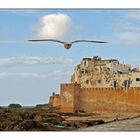 Essaouira 01