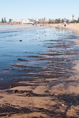 Essaouira - 034