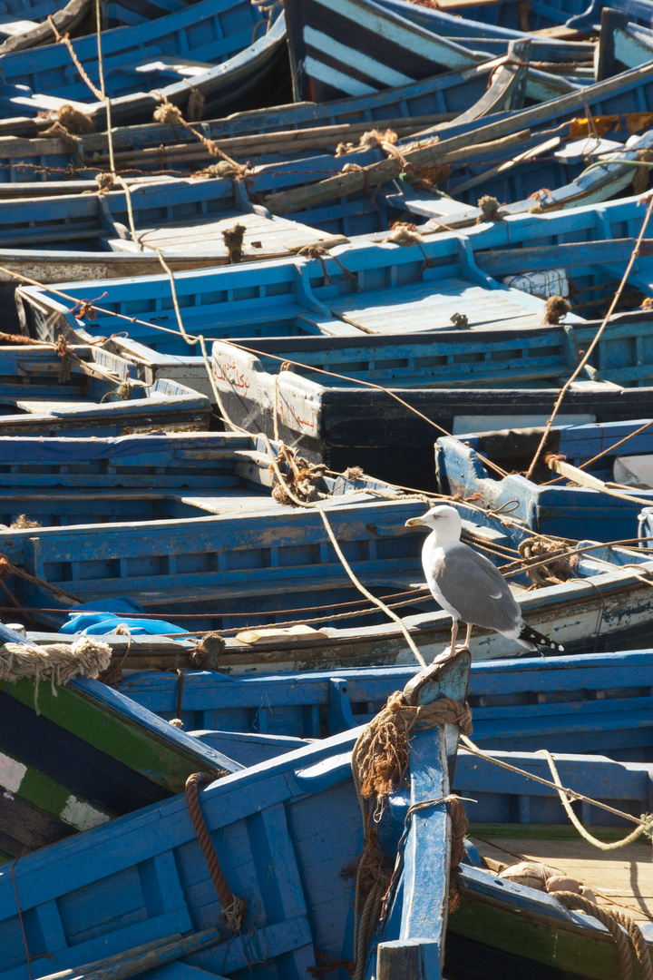 Essaouira - 039