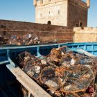 Essaouira - 040