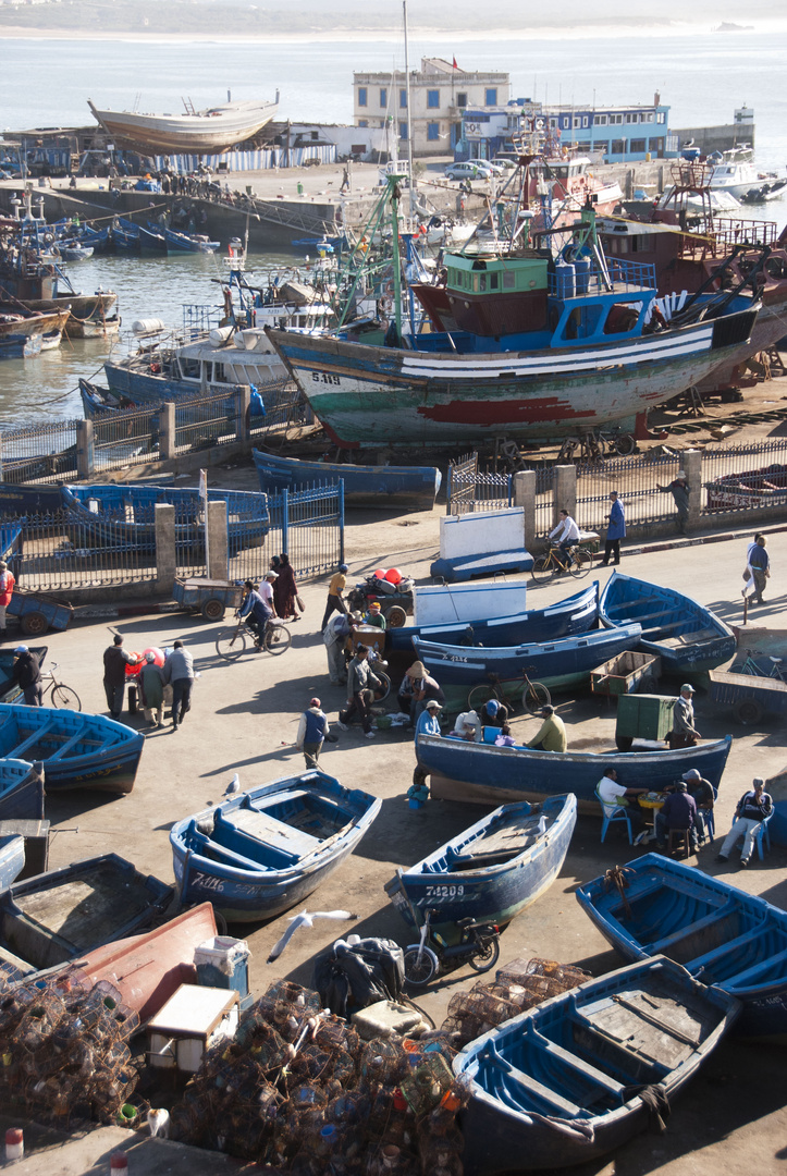 Essaouira - 066