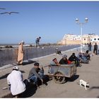 Essaouira / 1