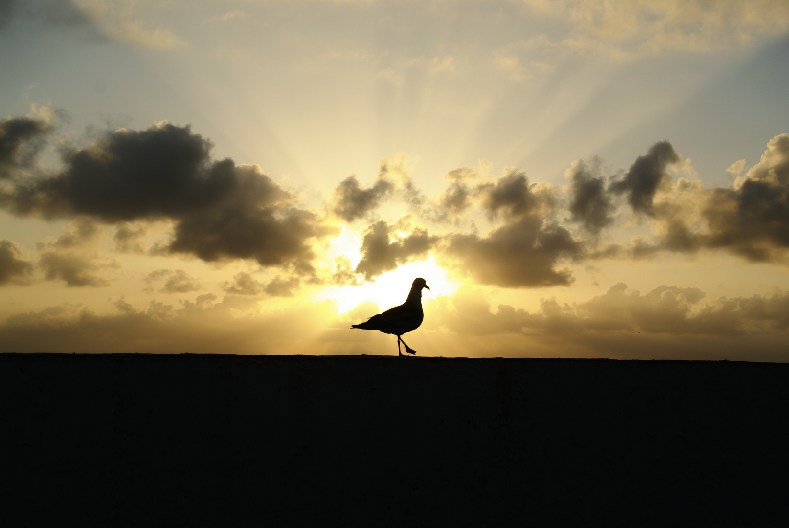 Essaouira