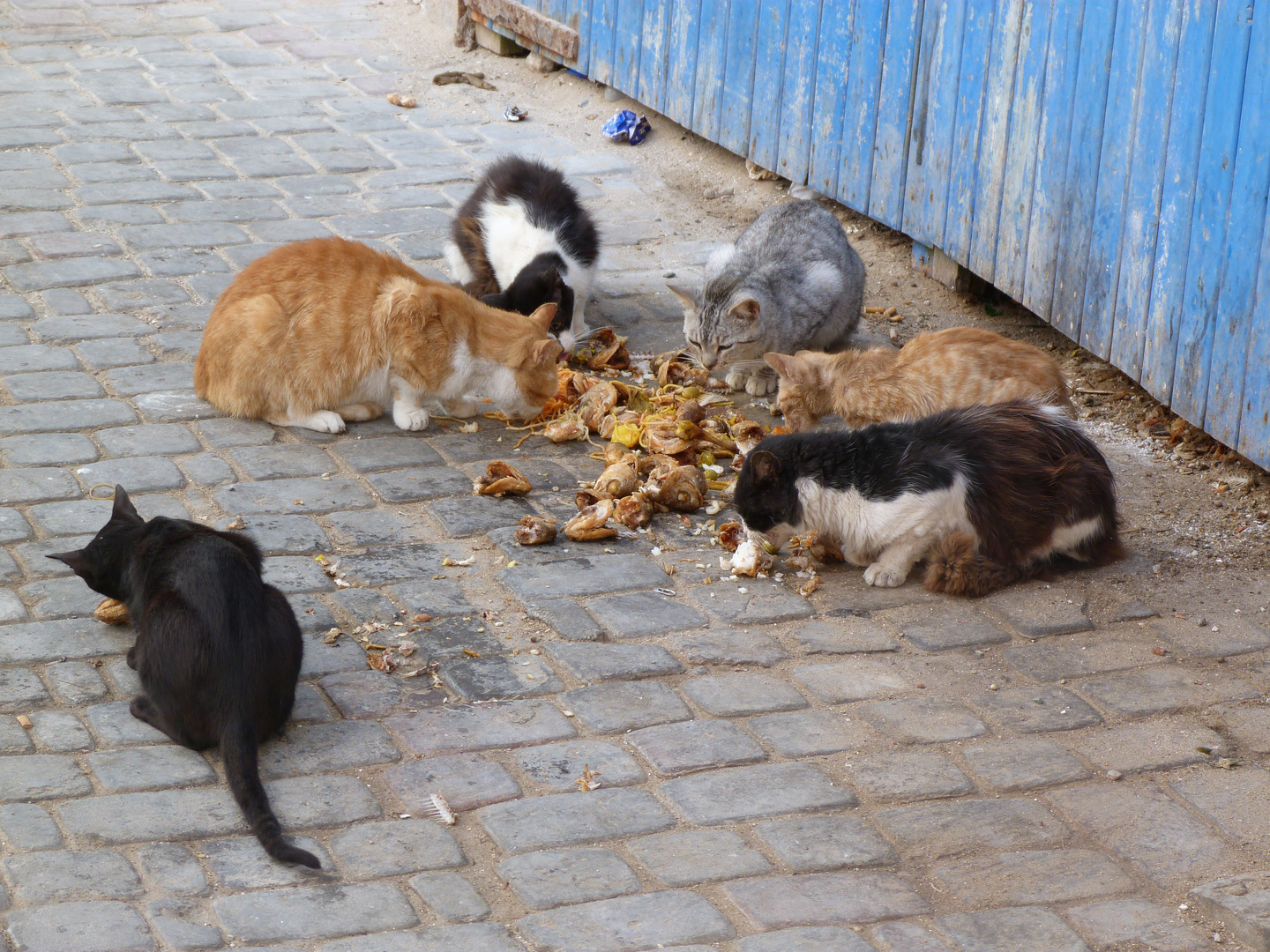 Essaouira