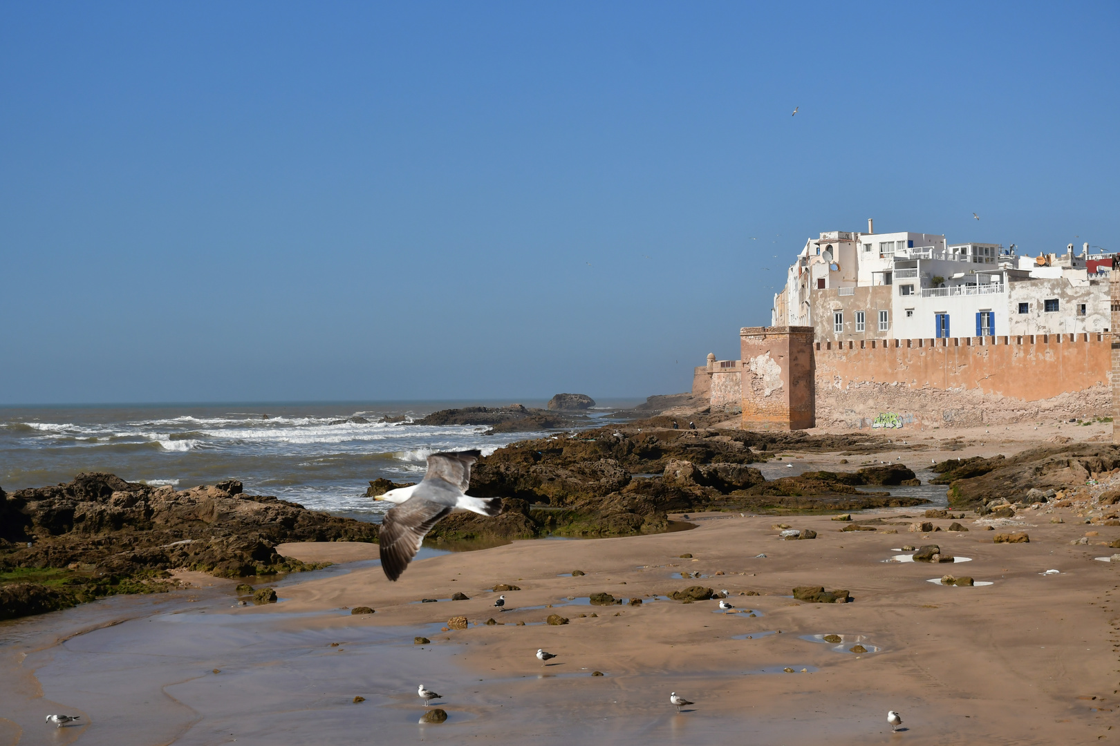 Essaouira