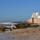 Essaouira