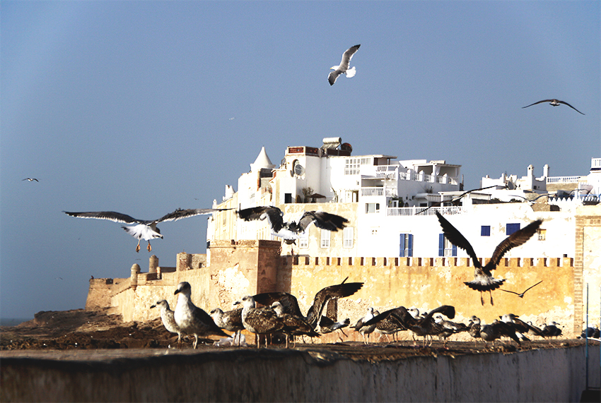 Essaouira