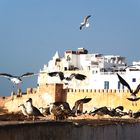 Essaouira