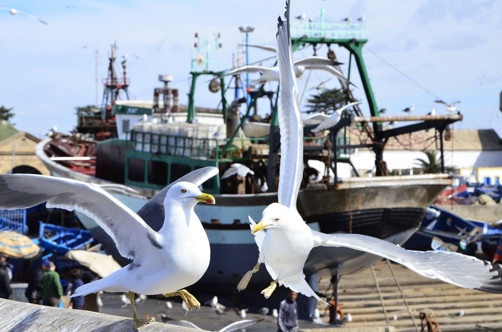 Essaouira Hafen