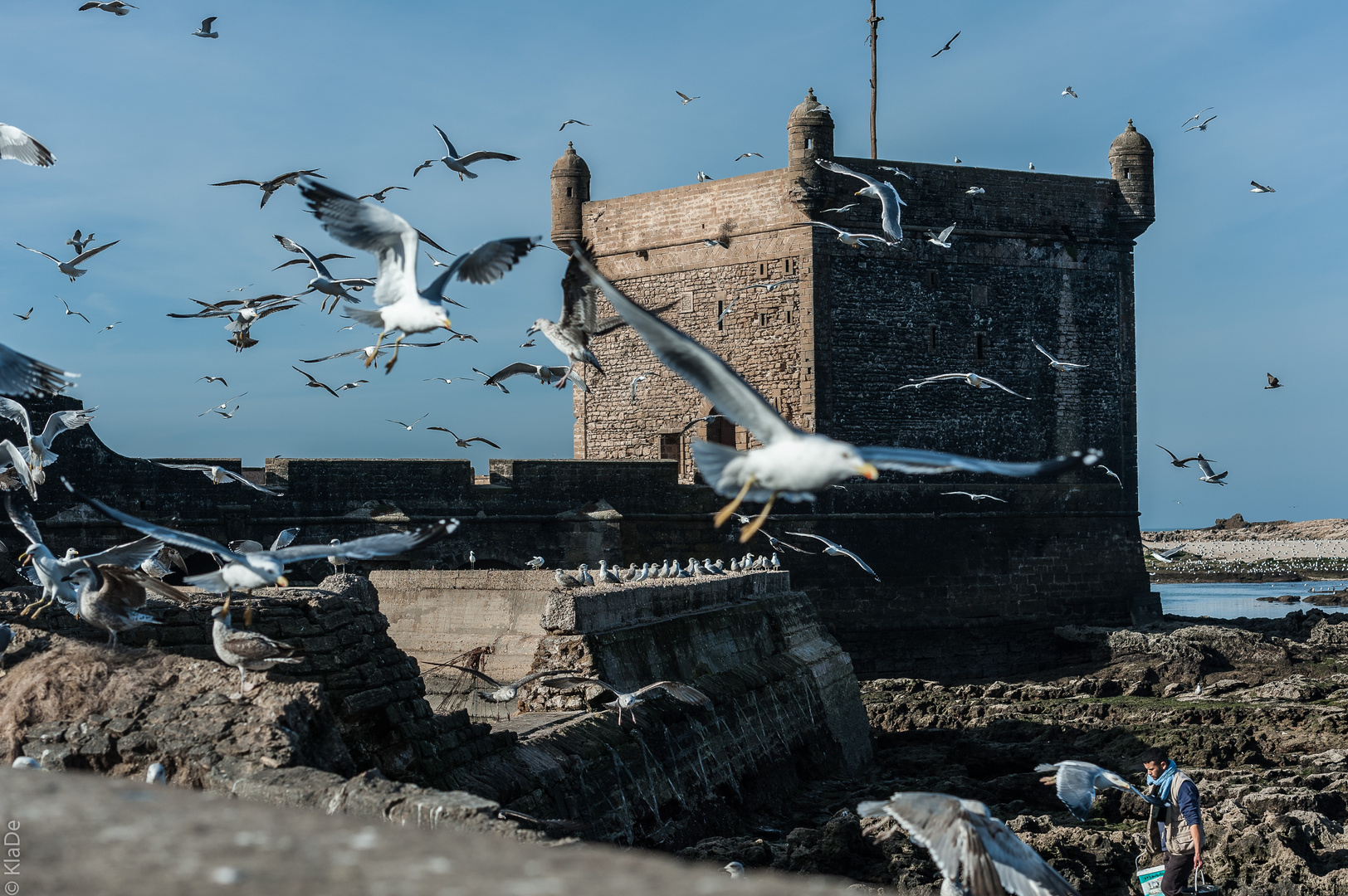 Essaouira - Hafen - Castell