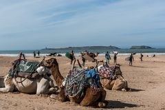 Essaouira - Hafen - Strand der Gegensätze