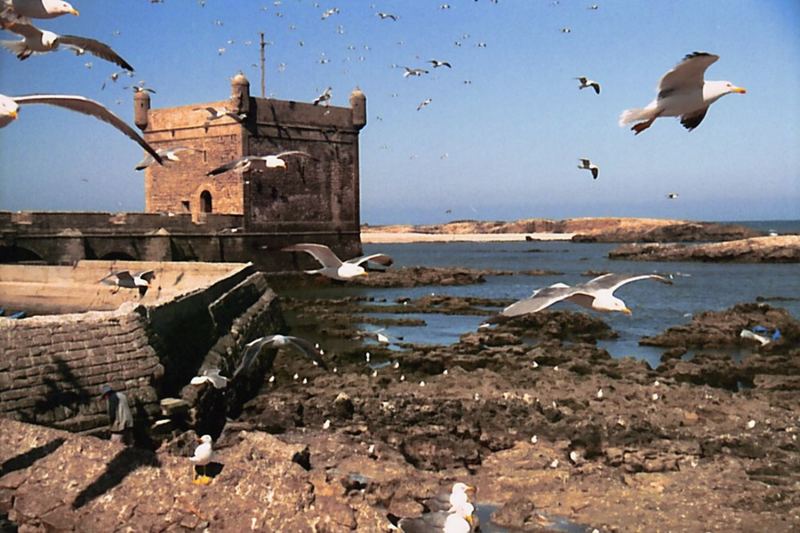 Essaouira I