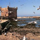 Essaouira I