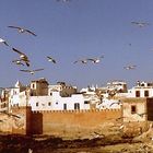 Essaouira II