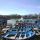 Essaouira, Il Porto - Essaouira, The fishing harbour