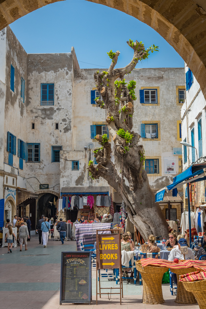 Essaouira IV - Marokko