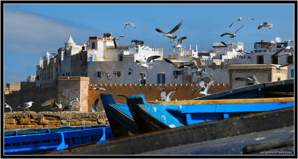 Essaouira la blanche...